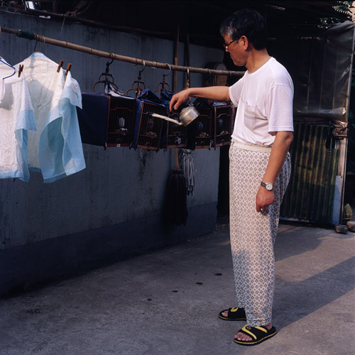 Landscapes of Change / Disappearance of Old Shanghai II